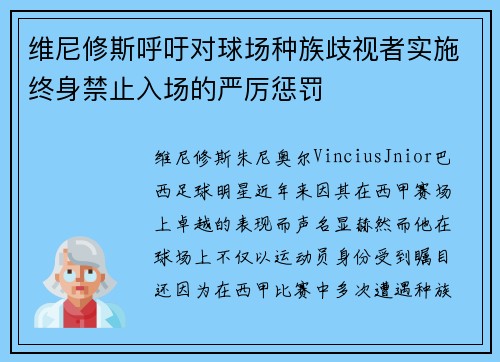 维尼修斯呼吁对球场种族歧视者实施终身禁止入场的严厉惩罚